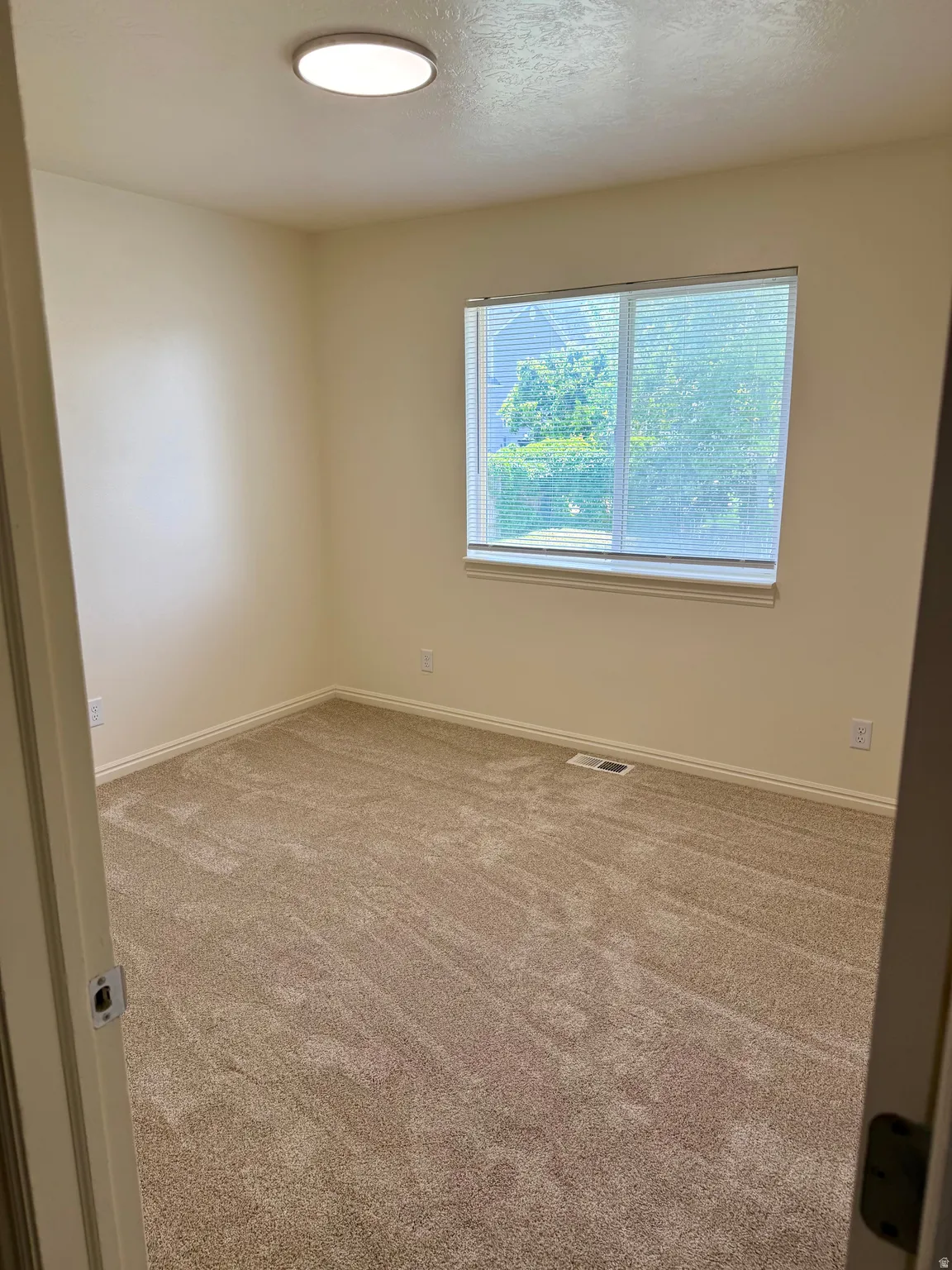 Neutral tone wall paint with matching baseboards, carpeted flooring, and a single window with blinds
