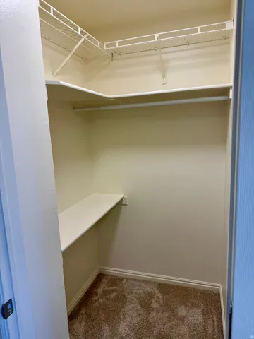 Walk-in closet featuring built-in wire shelving, a hanging rod, a permanent lower shelf, and carpet flooring