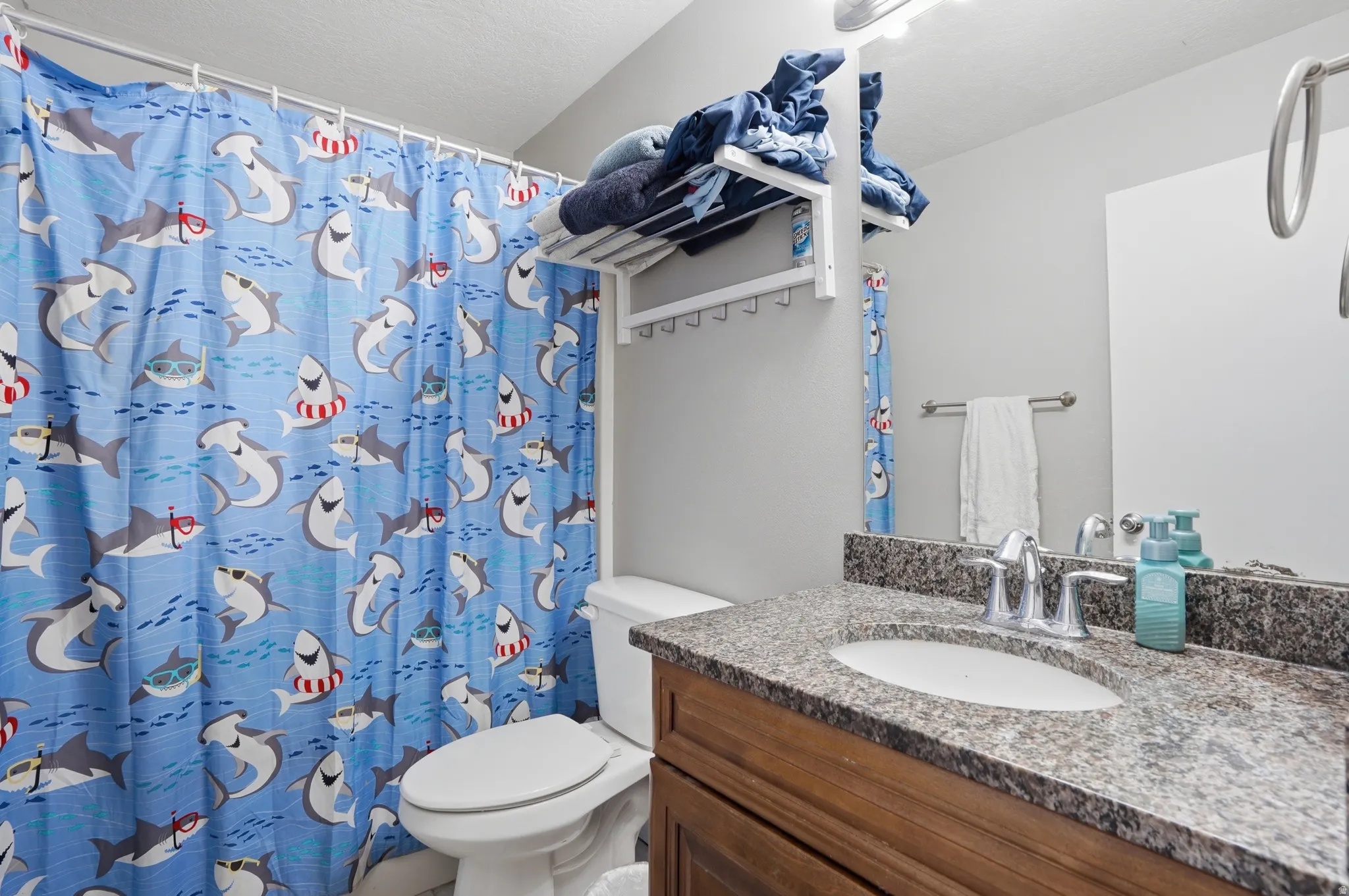 Full bathroom featuring vanity and a shower with curtain