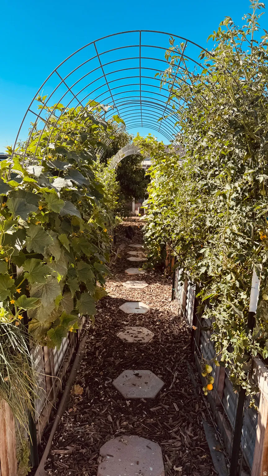 View of fenced yard