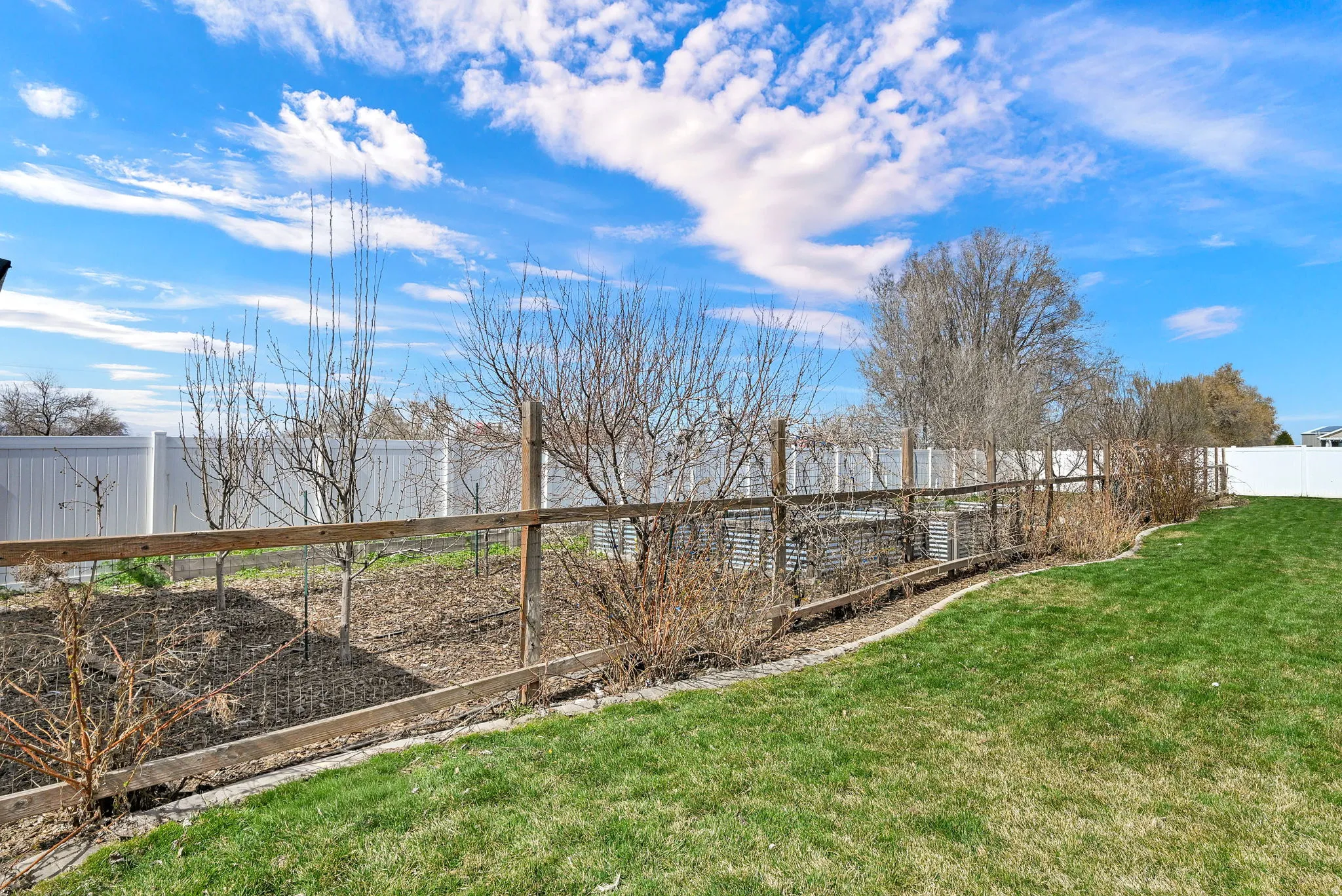 View of fenced backyard