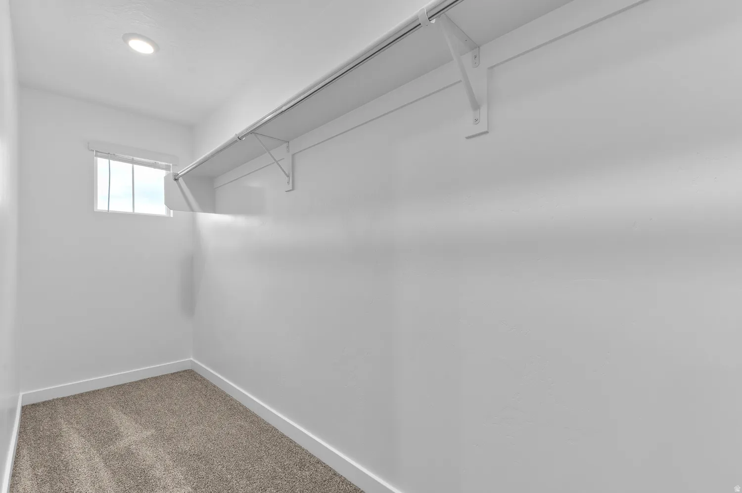 Walk in closet with carpet floors