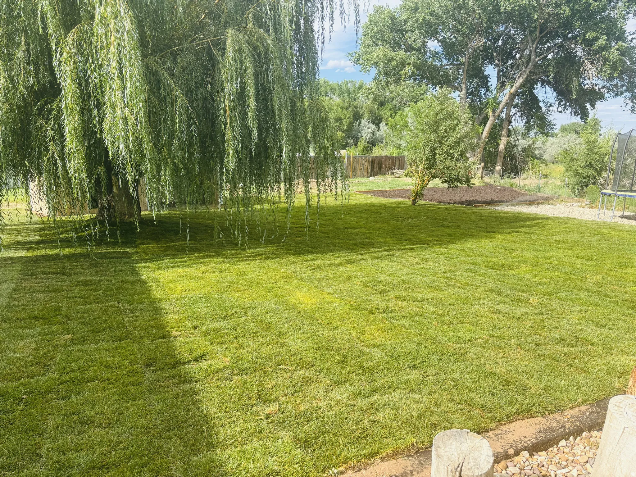 View of yard with a trampoline