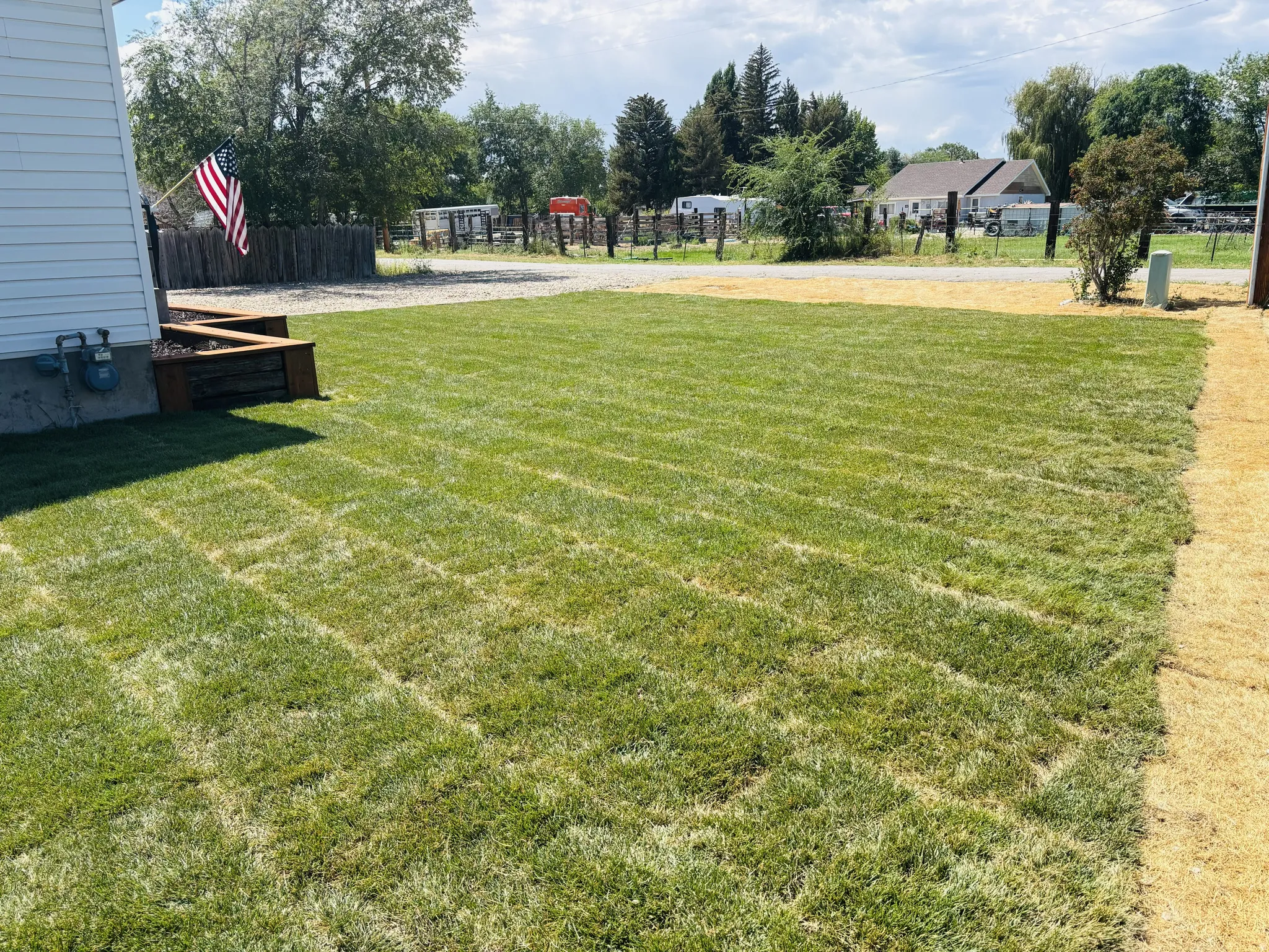 View of grassy yard