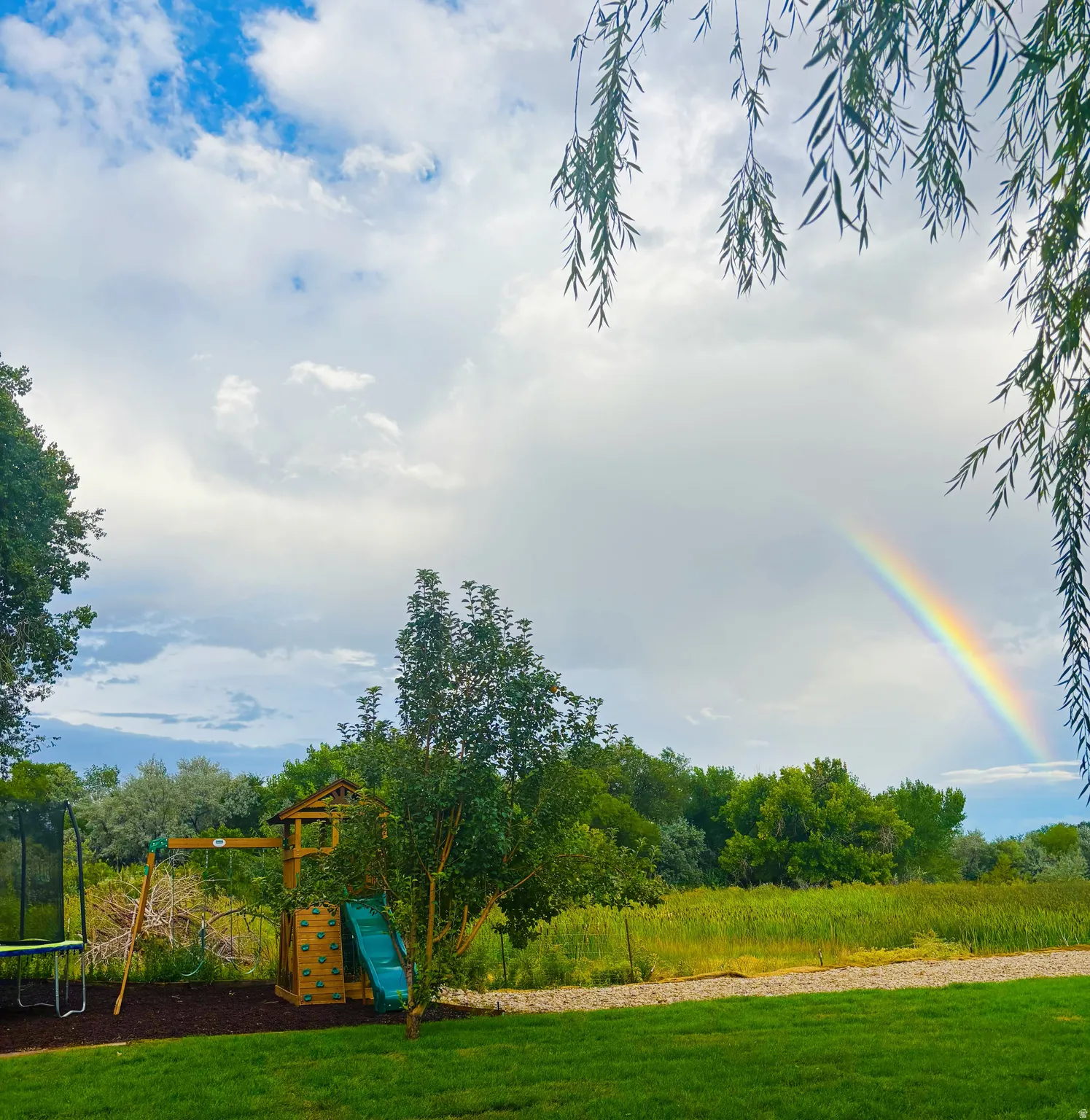 Community playground with a trampoline and a lawn