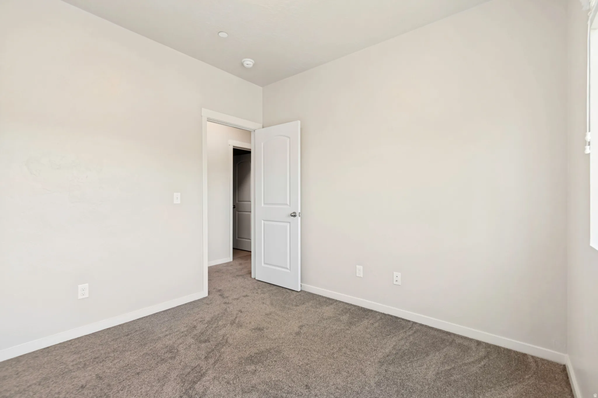 Neutral-toned room featuring light gray walls, plush gray carpeting, and white baseboards