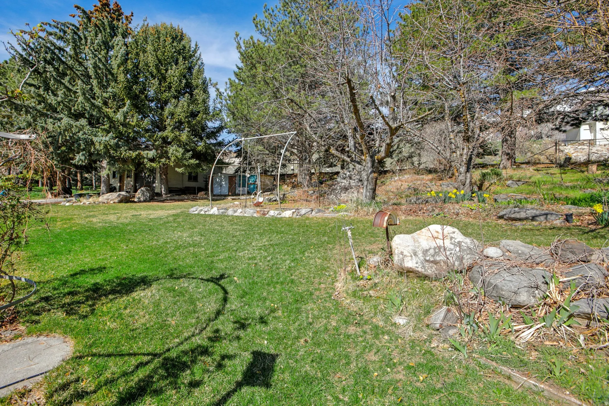 View of grassy yard