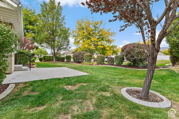 Expansive lawn featuring mature trees, a concrete patio, and established shrubbery