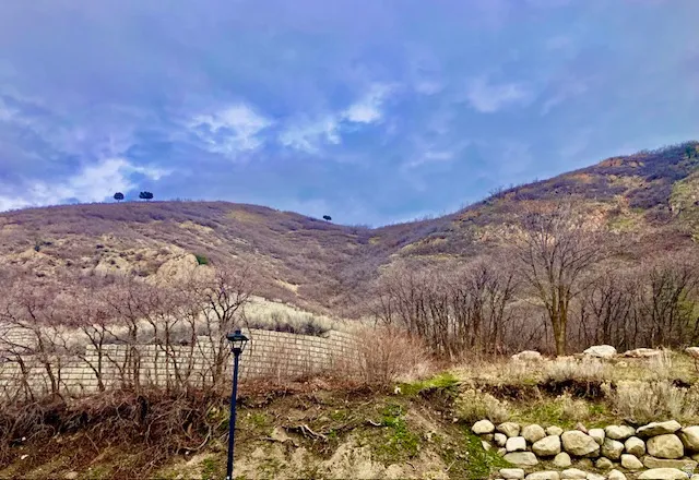 Mountain view