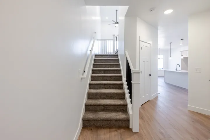 Carpeted staircase with white newel posts and black iron balusters, complemented by light wood-finish flooring