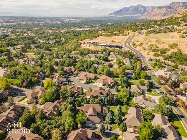 Expansive residential area featuring numerous homes with brown roofs, mature green trees, a winding road, and distant mountains