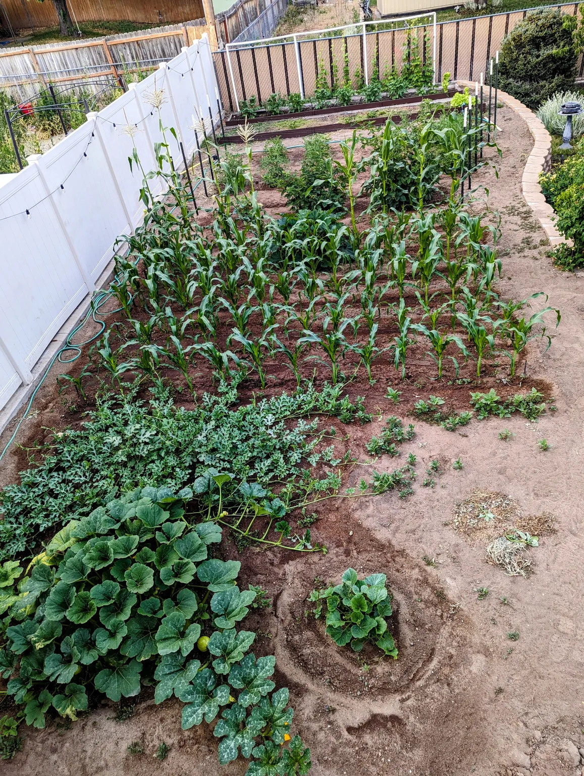 Exterior view of a fenced backyard and a garden