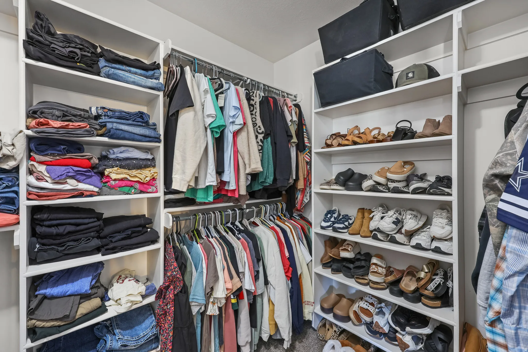 Walk in closet with dark colored carpet