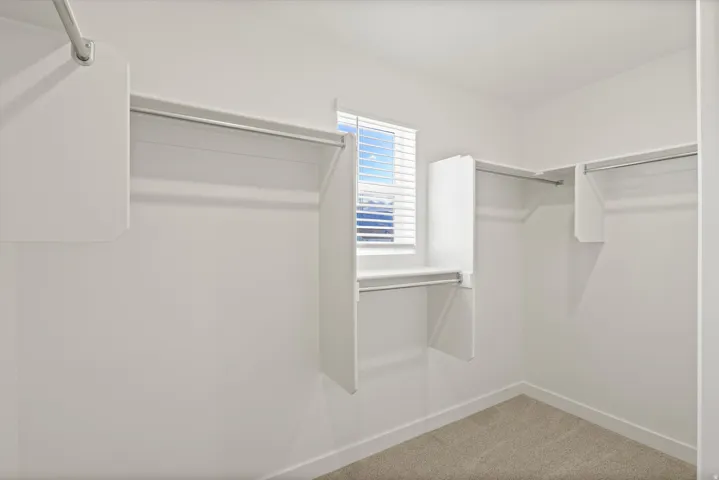 *DISCLAIMER* Interior package and colors may vary.  Walk in closet featuring carpet flooring
