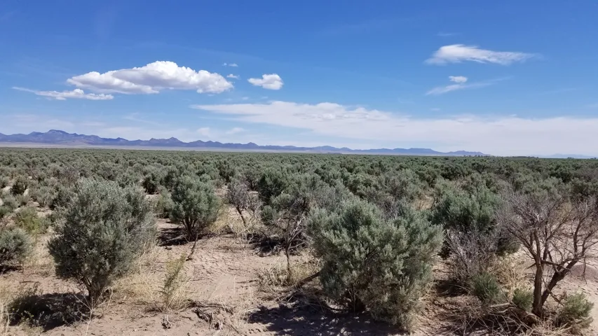 Mountain view featuring a forest