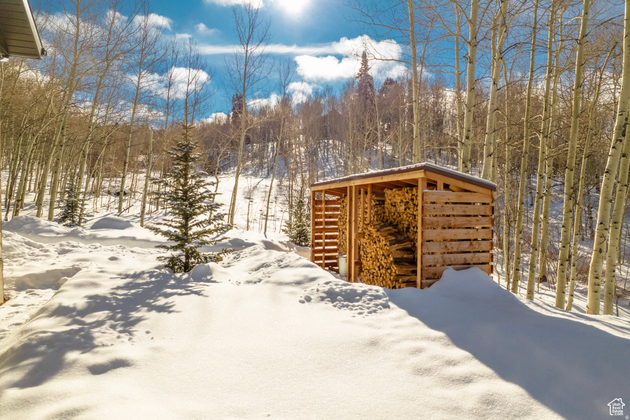 View of snow covered structure