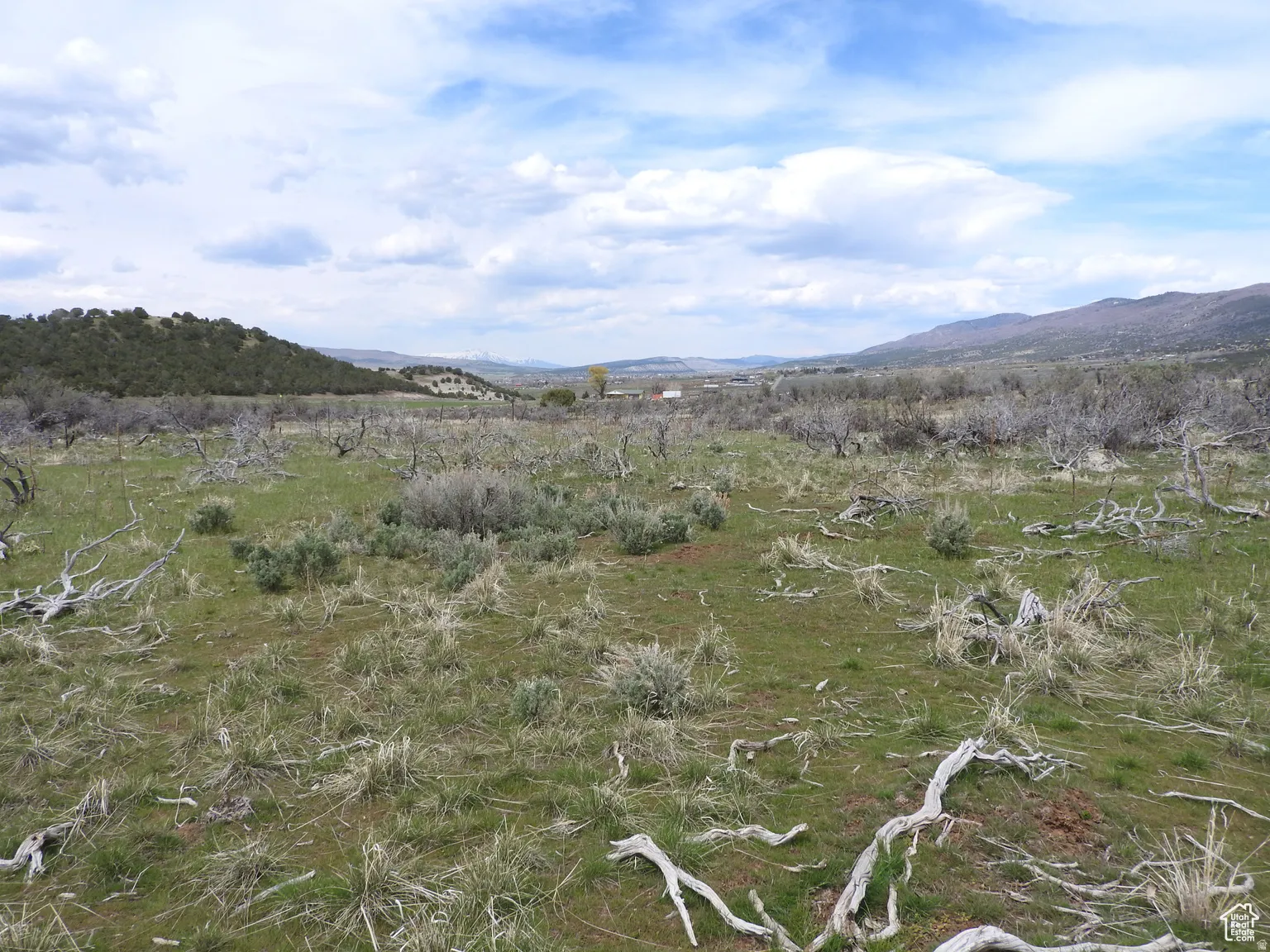 View of mountain background