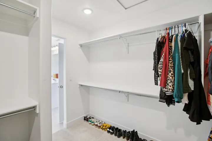 Walk in closet with light colored carpet