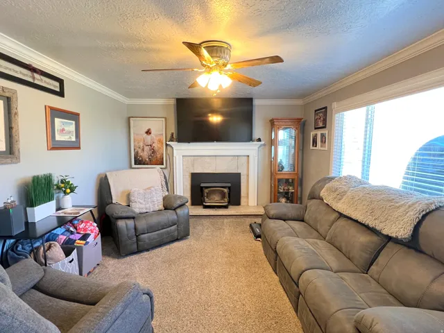 Living area with a textured ceiling, ornamental molding, a ceiling fan, and carpet