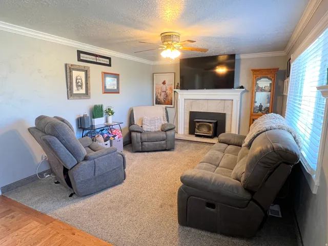 Living area featuring a ceiling fan, ornamental molding, a textured ceiling, and carpet flooring