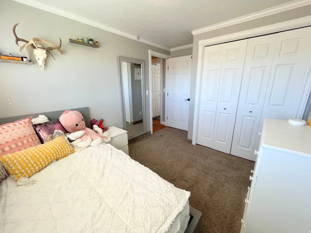 Bedroom with dark carpet, ornamental molding, and a closet