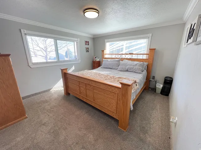Bedroom with carpet floors, ornamental molding, a textured ceiling, and a textured wall