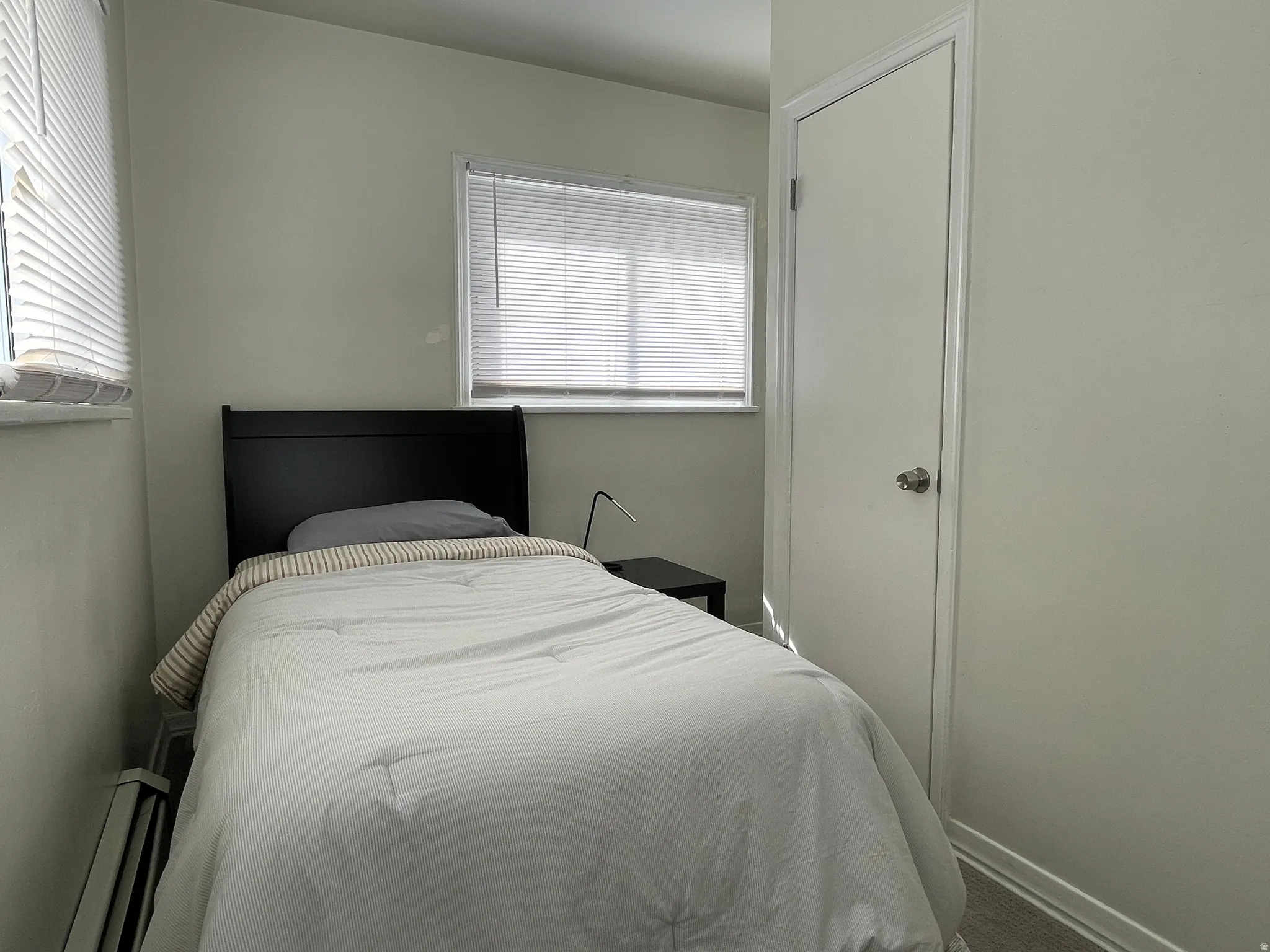 Carpeted bedroom featuring multiple windows and baseboard heating