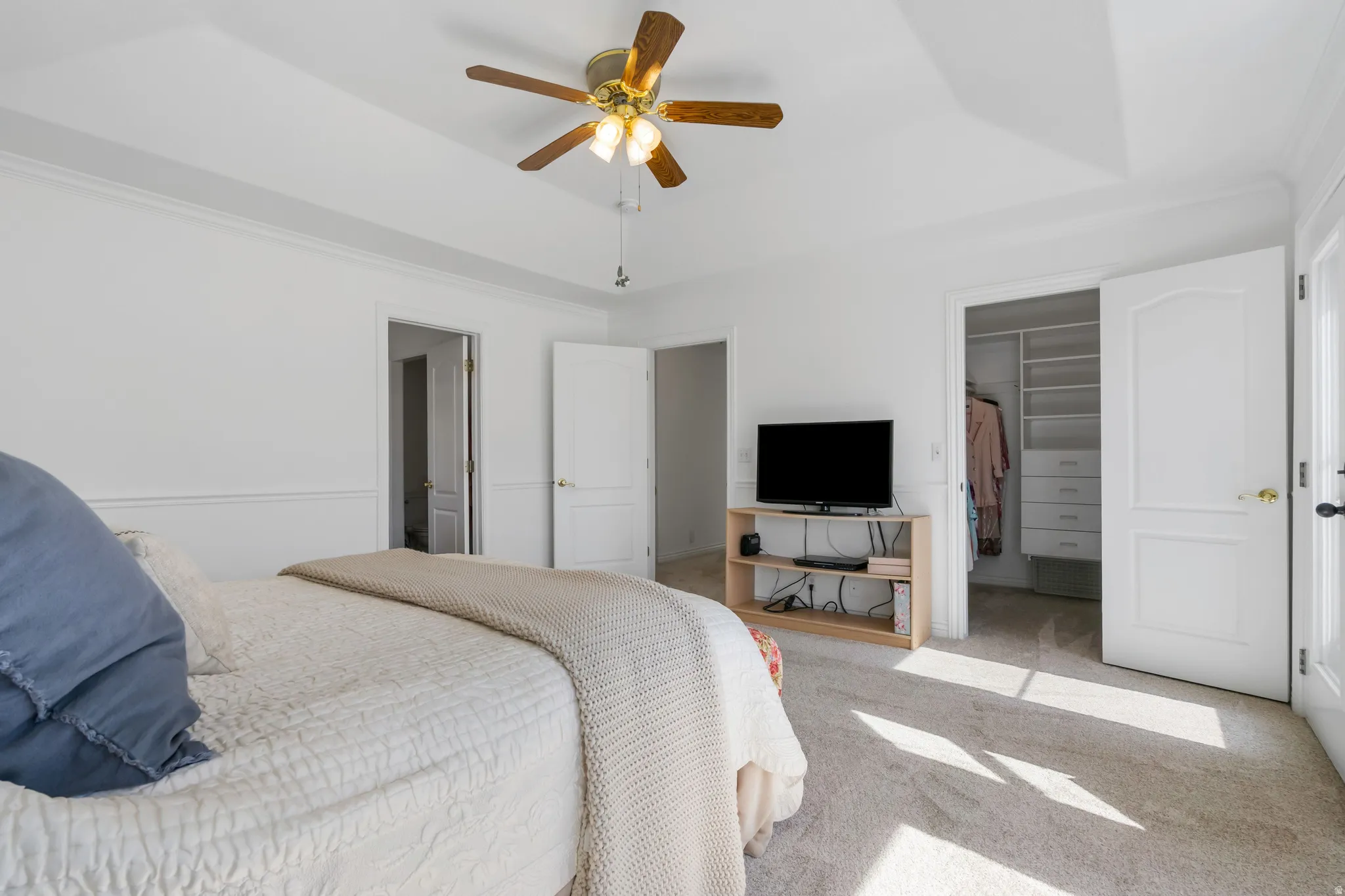 Bedroom with a walk in closet, carpet, ceiling fan, a tray ceiling, and ornamental molding
