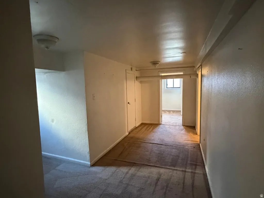Carpeted flooring, white interior walls, and ceiling-mounted lighting fixtures