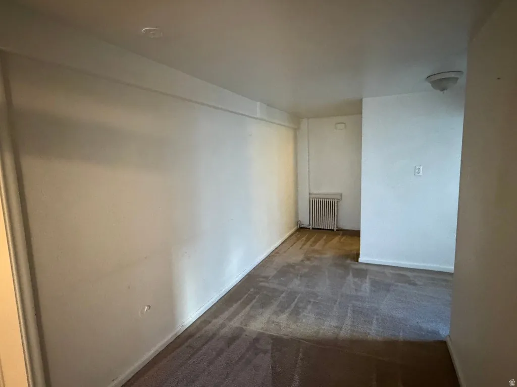 Carpeted flooring, white painted walls, and ceiling-mounted light fixture