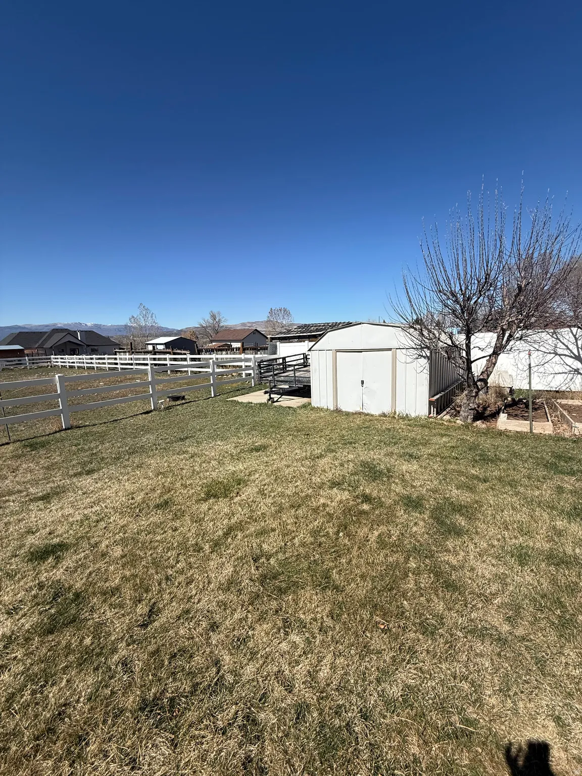 View of yard with a storage shed