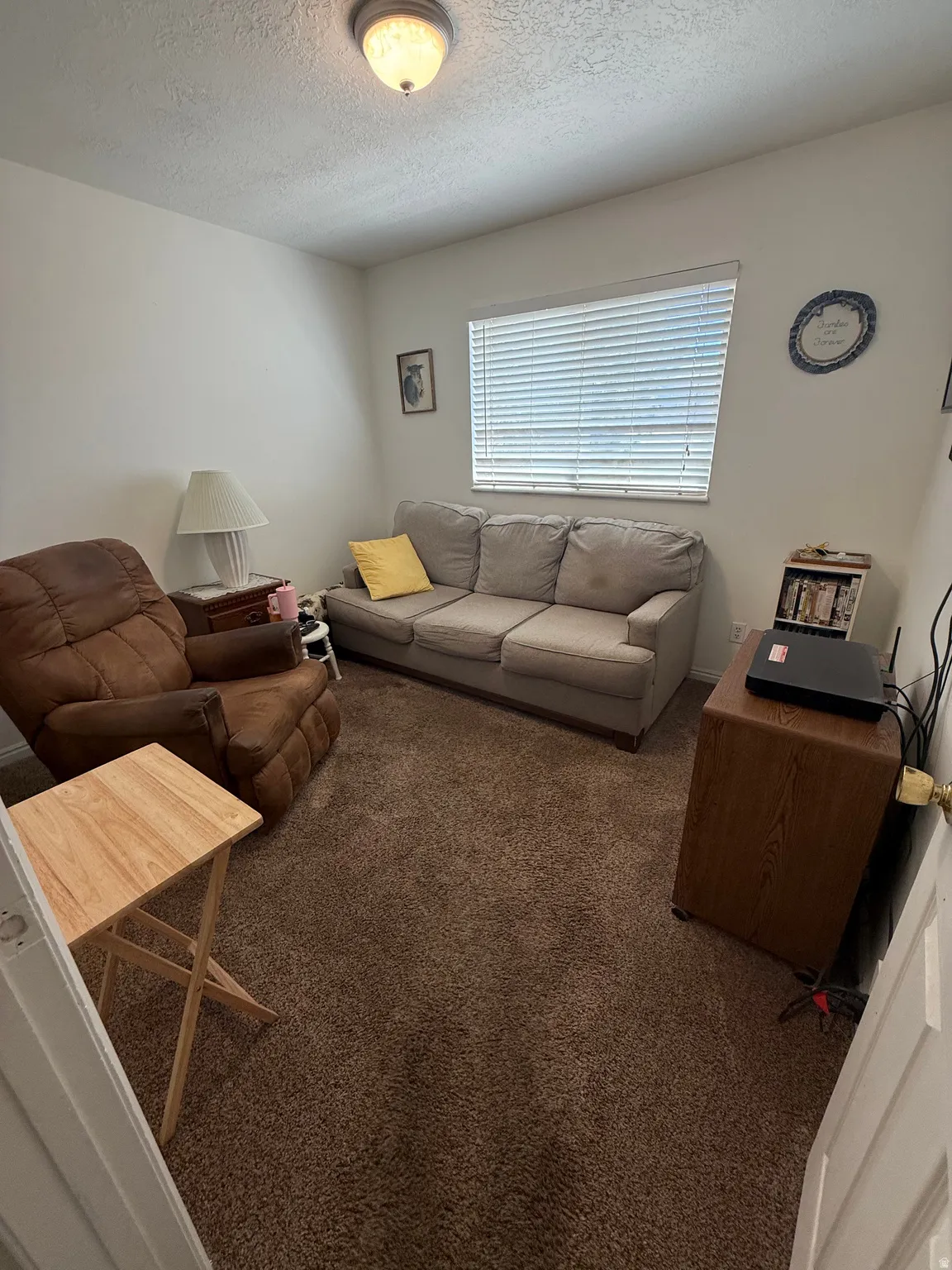 Living room with carpet flooring and a textured ceiling