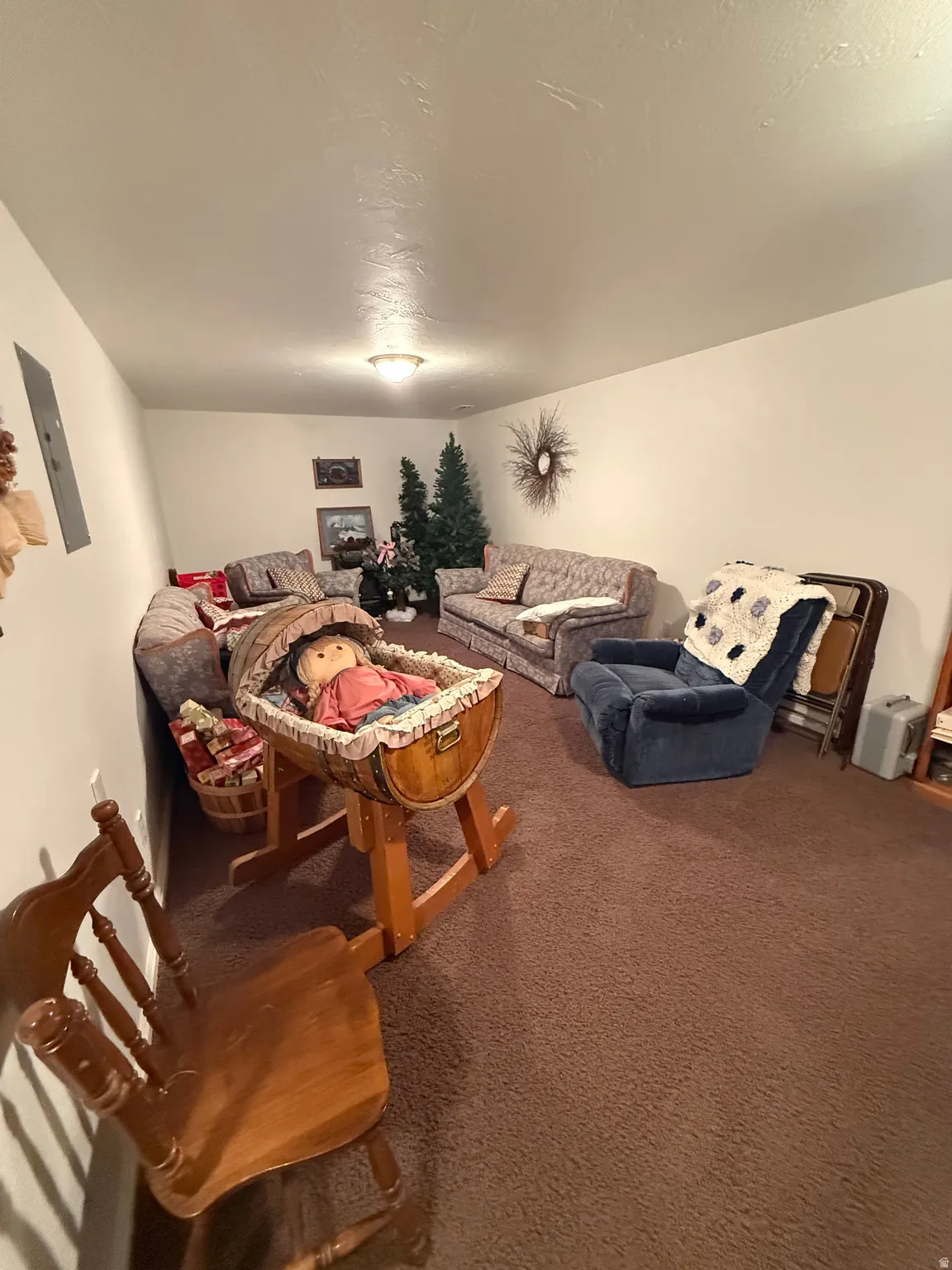 Carpeted living area featuring electric panel