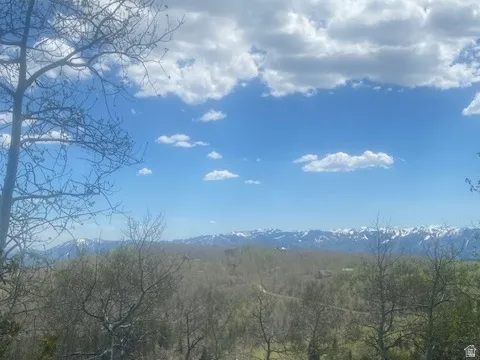 Expansive mountain landscape featuring distant snow-capped peaks and abundant natural foliage