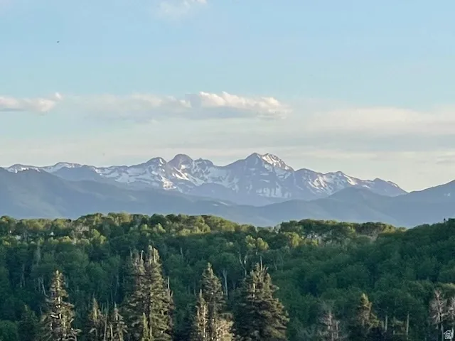 View of mountain background with a forest