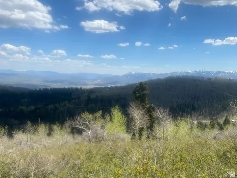 Expansive natural landscape featuring lush green foliage and distant mountains