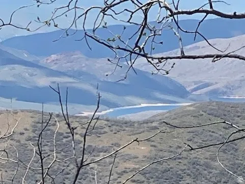 Rolling hillsides with a distant body of water under a clear sky