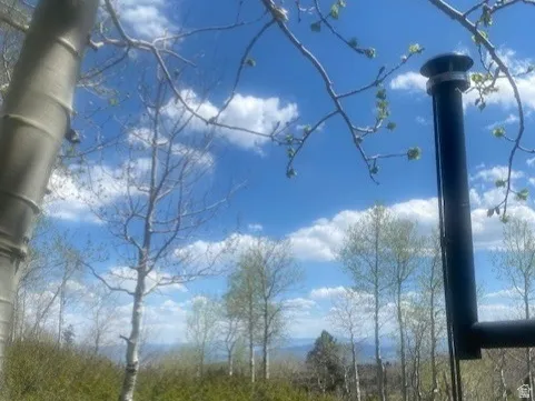stovepipe from wood stove in the view