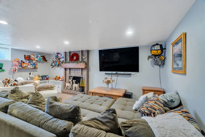Basement living area