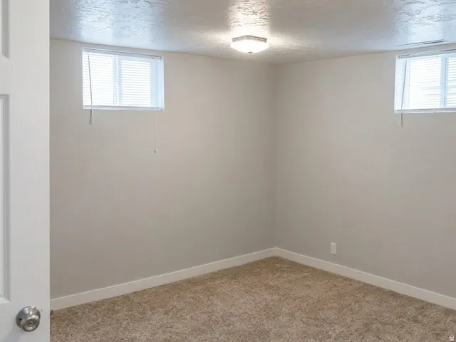 Basement bedroom