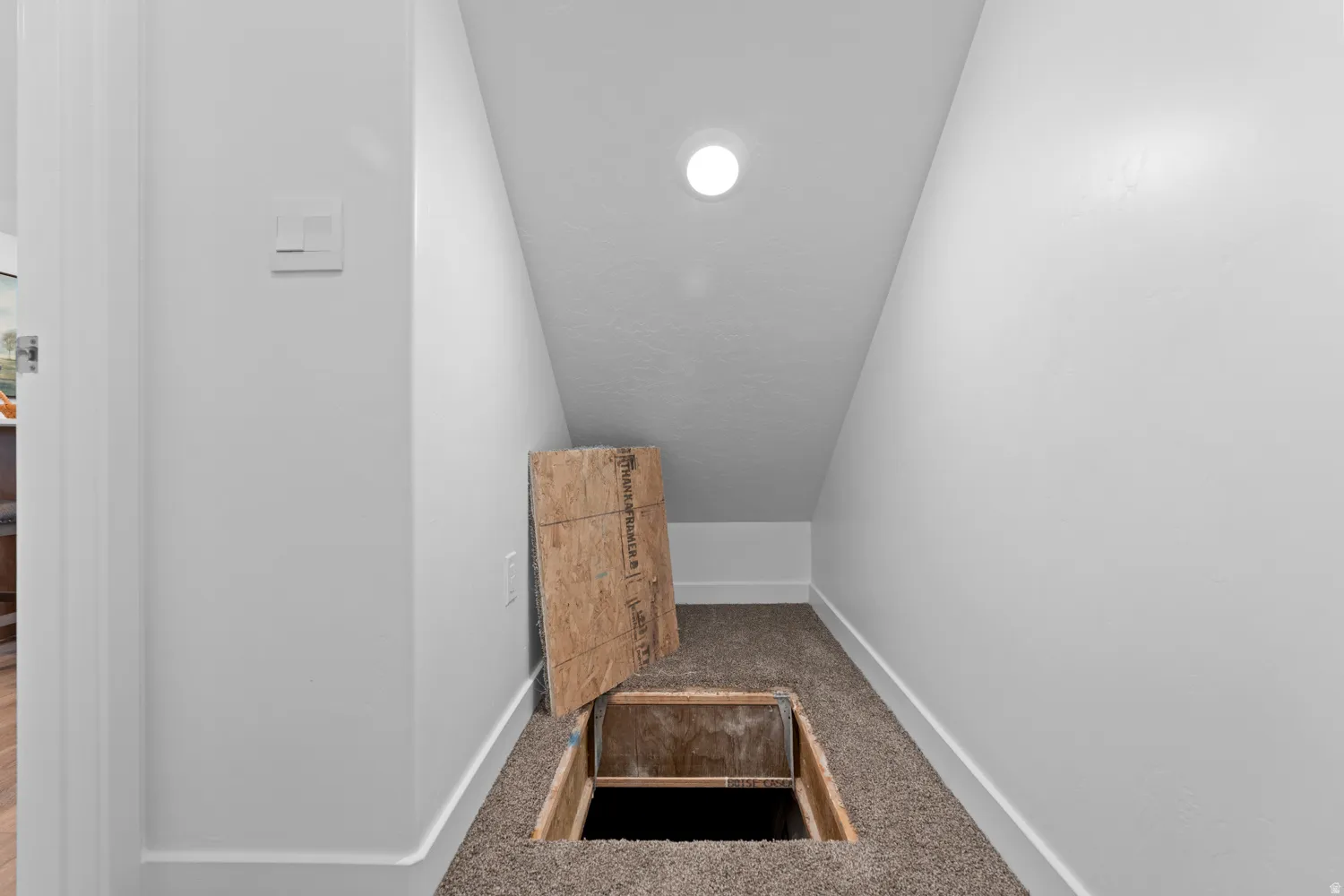 Stairs featuring carpet and baseboards