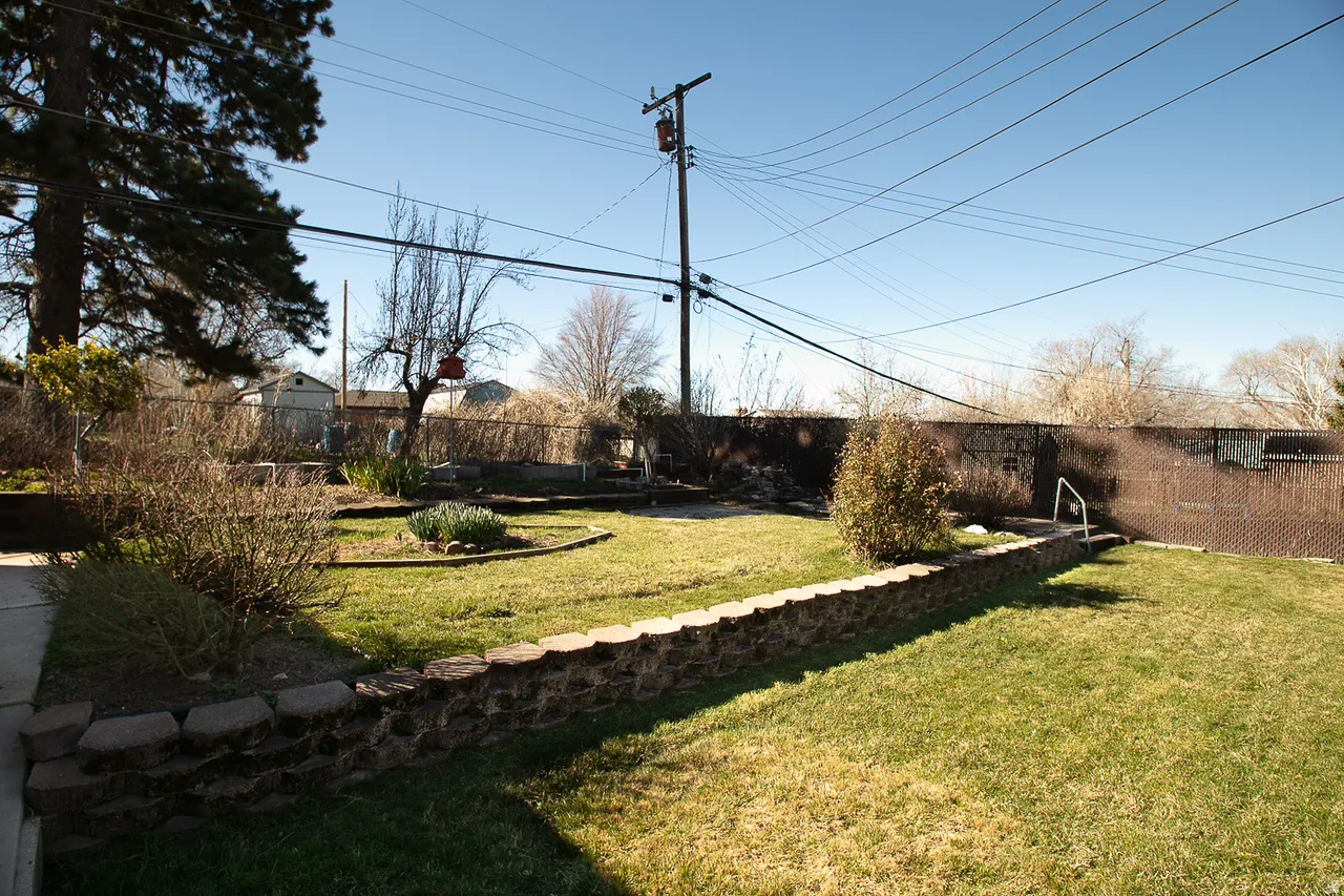 View of the terraced back yard