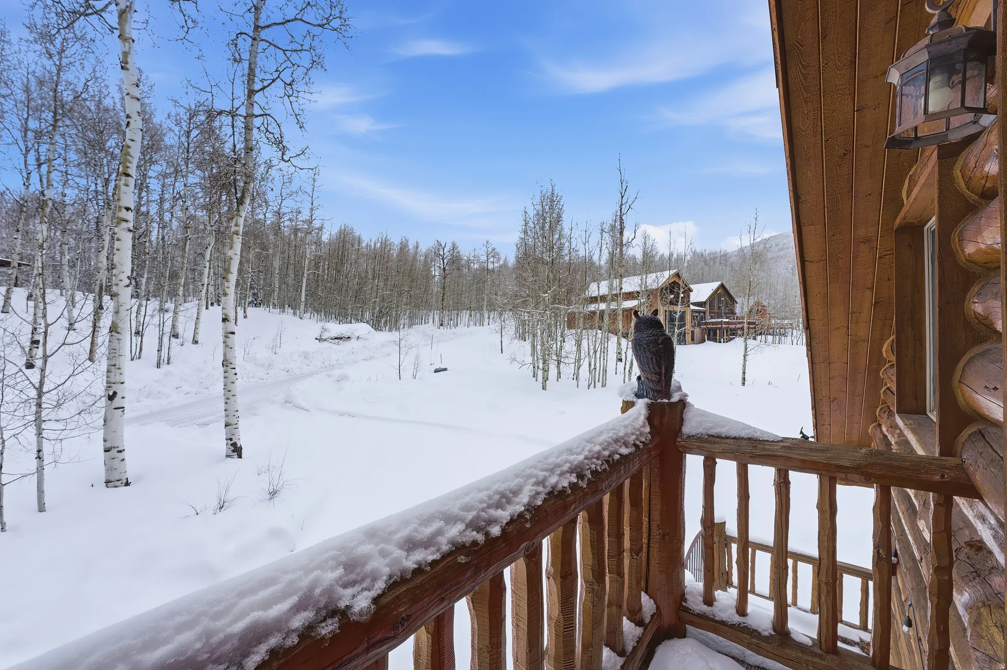 View of snowy yard
