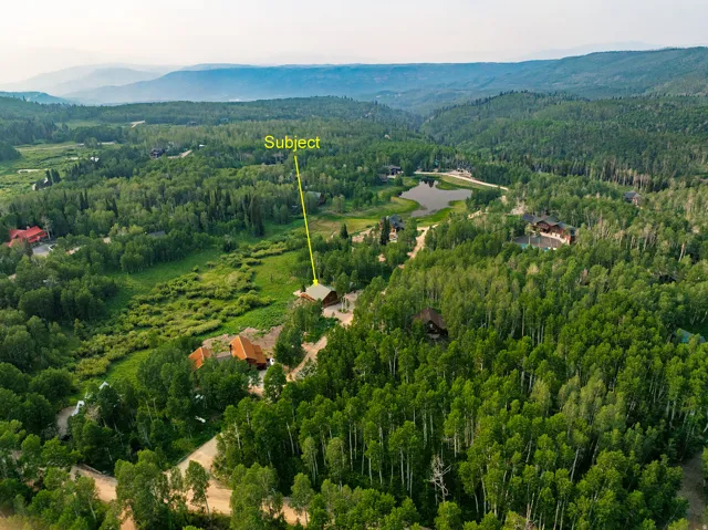 Expansive forested acreage featuring a secluded property with a dark brown roof
