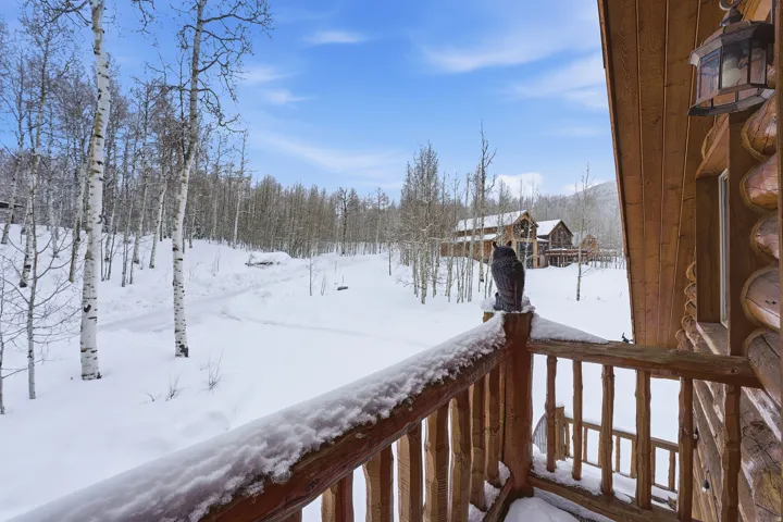 View of snowy yard
