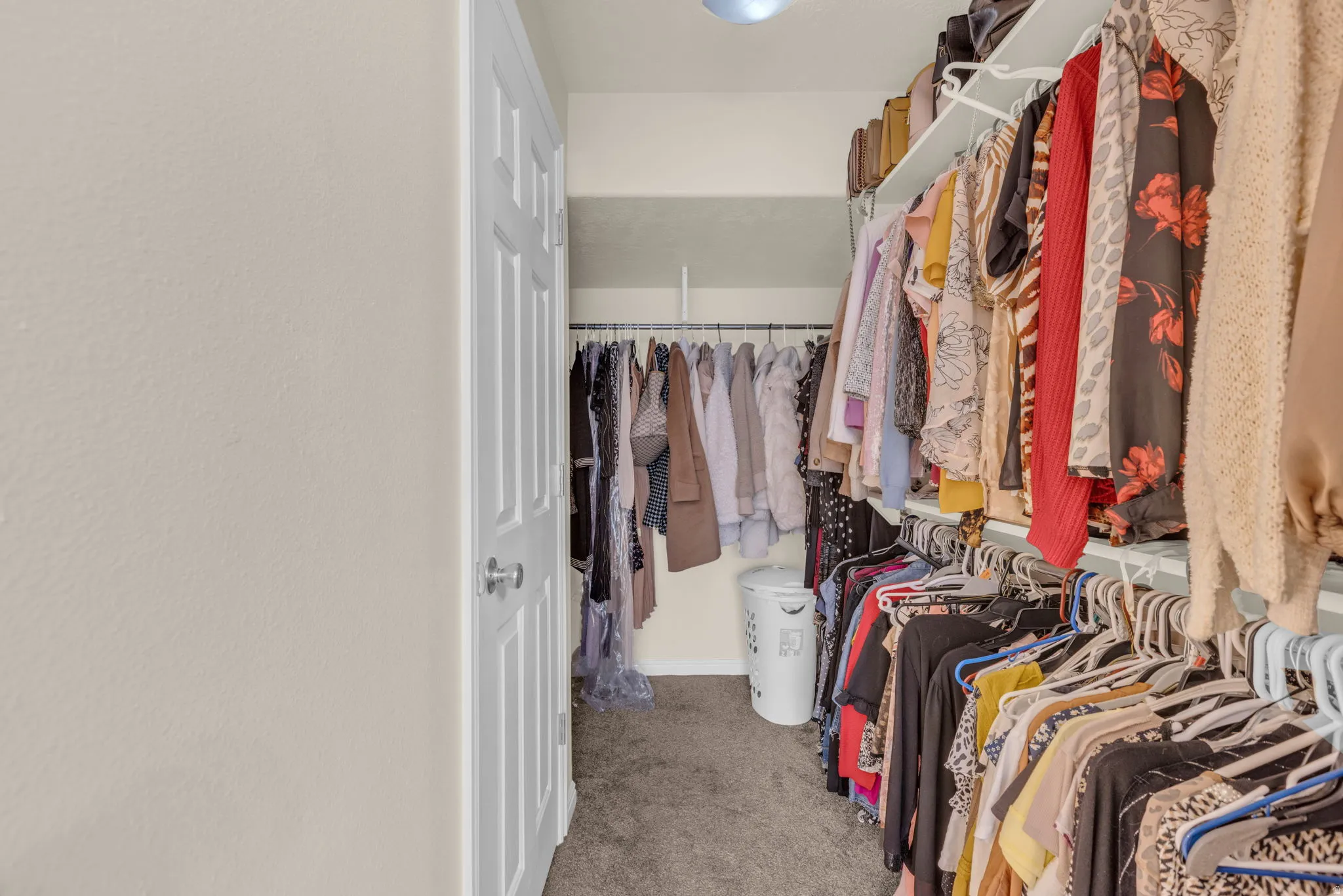 Walk in closet with light colored carpet