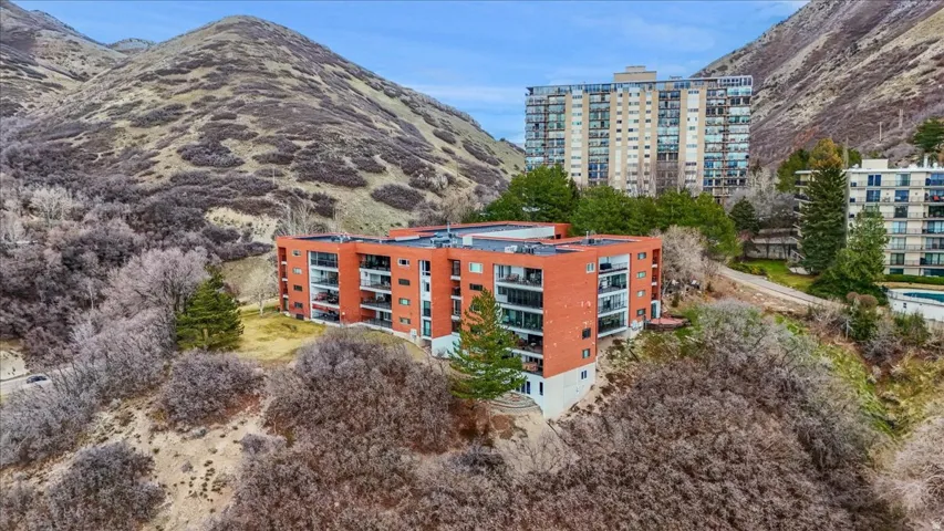 Drone / aerial view of a mountainous background