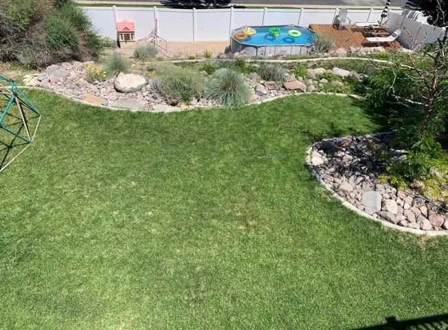 Picture of yard during summer when pool was set up
