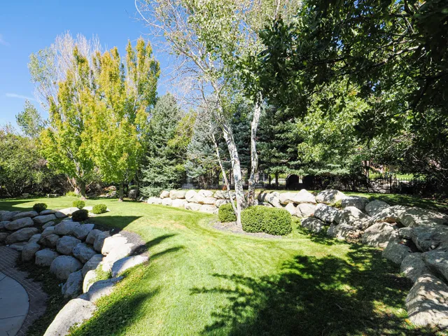 View of green lawn featuring view of scattered trees