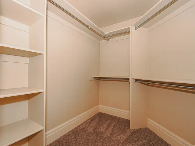 Walk in closet featuring dark colored carpet